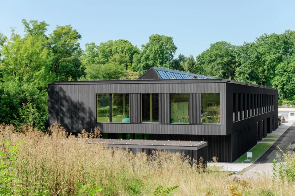 Çevre Dostu Ahşap Koruma