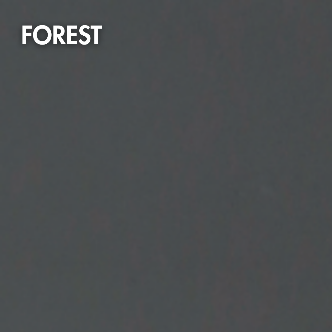 Forest Duvar Uygulaması