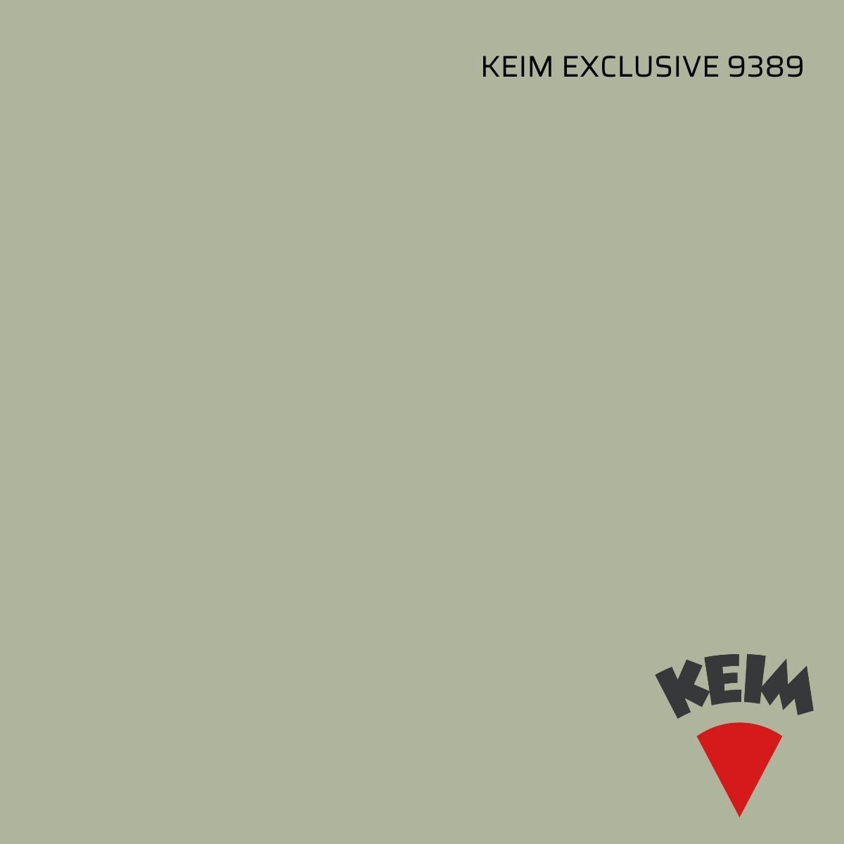 KEIM EXCLUSIVE 9389 Silikat İç Mekan Boyası