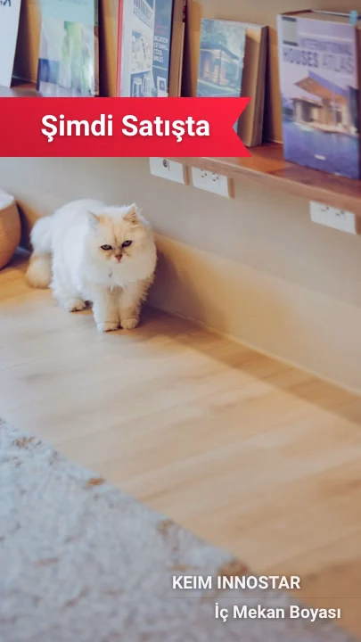 KEIM Innostar İç Mekan Boyası