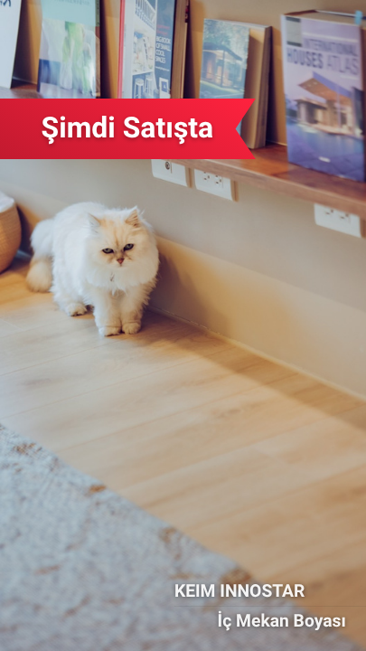 KEIM Innostar İç Mekan Boyası